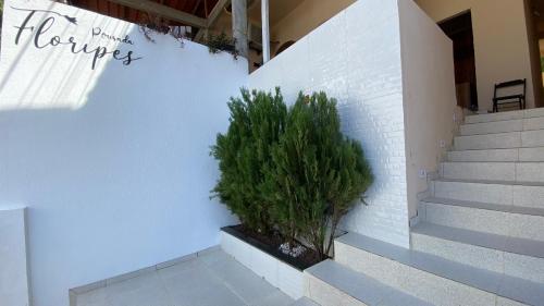 una planta en una maceta al lado de una escalera en Pousada Floripes, en Morro de São Paulo