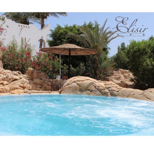a large swimming pool with an umbrella at Domina Coral bay elisir SPA in Sharm El Sheikh