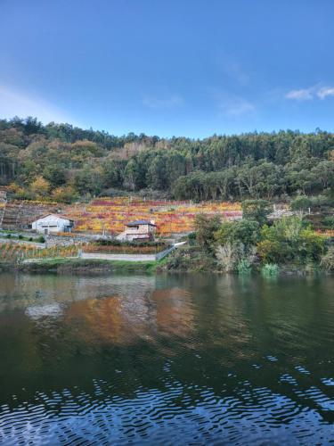 a view of a body of water with houses and trees at SAMPAIO in Taboada