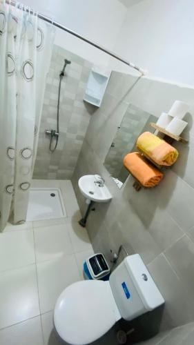 een badkamer met een douche, een toilet en een wastafel bij Dar nor in Essaouira