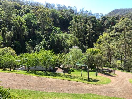 einen Park mit einem Picknicktisch und Bäumen in der Unterkunft Copeland Cabins in Copeland