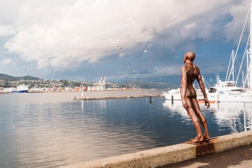 a statue of a man standing in the water at Wellington Hotel in Wellington