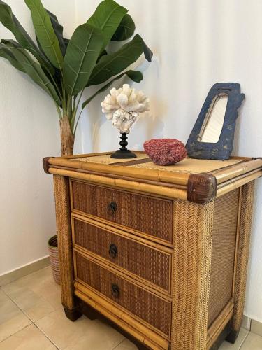 a wooden dresser with a potted plant on top of it at Appartement Saint Martin Friars Bay Sunset Paradise in Friar's Bay