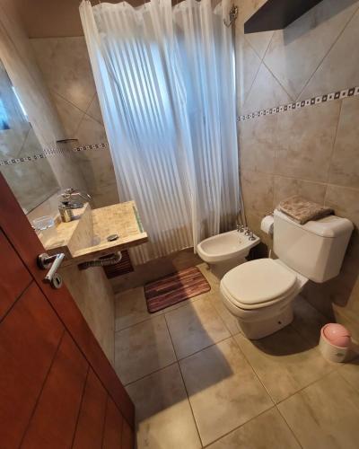 a bathroom with a toilet and a shower and a sink at Cabañas Brick House in Embalse