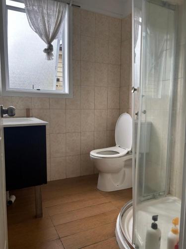 La salle de bains est pourvue de toilettes et d'une douche en verre. dans l'établissement Mt Eden Tidy Bedroom rm7, à Auckland
