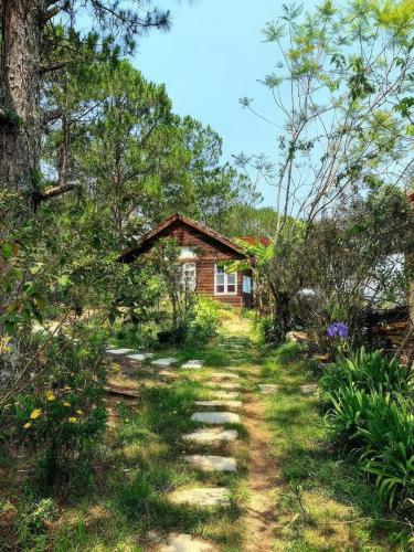 a path leading to a house in the woods at Romantic house on a pine hill Dalat in Xuan An