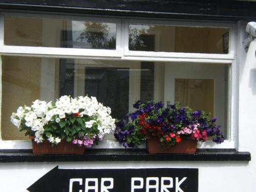 a window with two pots of flowers on it at Faythe Guesthouse in Wexford