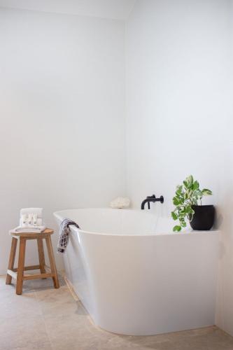 a white bath tub with a plant in a bathroom at The River House includes a private beach jetty and pool in Noosa Heads
