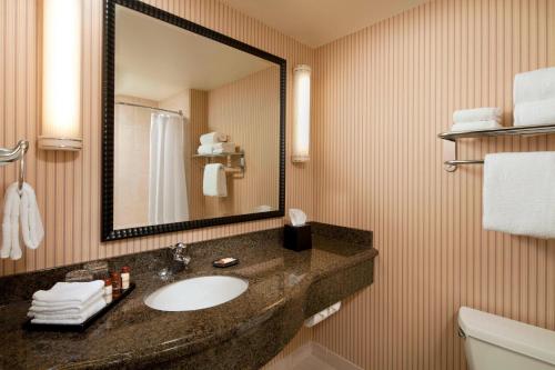a bathroom with a sink and a mirror at Sheraton Sonoma Wine Country Petaluma in Petaluma