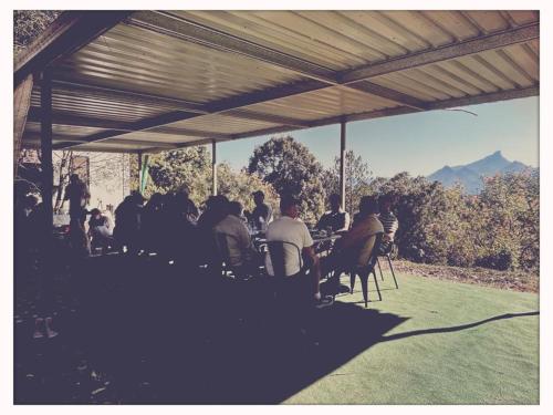 a group of people sitting at a table under ailion at EcOasis in Uki