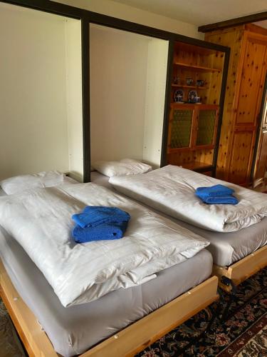 Dos camas en una habitación con almohadas azules. en Alpine Cocoon, en Churwalden