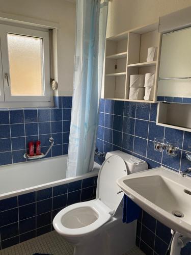 Baño de azulejos azules con aseo y lavamanos en Alpine Cocoon, en Churwalden