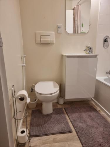 a bathroom with a white toilet and a sink at Entire ground floor with full-privacy and family-friendly popular to ferry catchers in Wellington