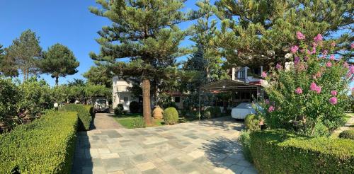 Orange Blossom Luxury House