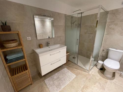 a bathroom with a toilet and a shower and a sink at Bas de villa avec accès piscine près de Nice Cannes Monaco in Carros