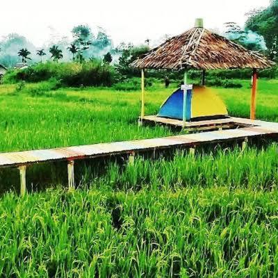 una cabaña en un campo con un campo de hierba en CAMPING GROUND en Bukittinggi