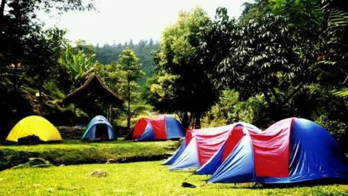 un groupe de tentes assises dans l'herbe dans l'établissement CAMPING GROUND, à Bukittinggi