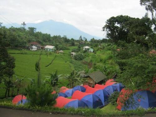 ブキティンギにあるCAMPING GROUNDの畑の色とりどりの傘