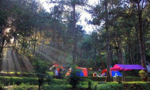 a group of people in a forest with tents at CAMPING GROUND in Bukittinggi