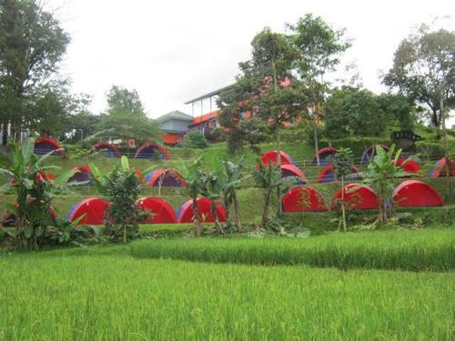 un gruppo di tende rosse in un prato erboso di CAMPING GROUND a Bukittinggi