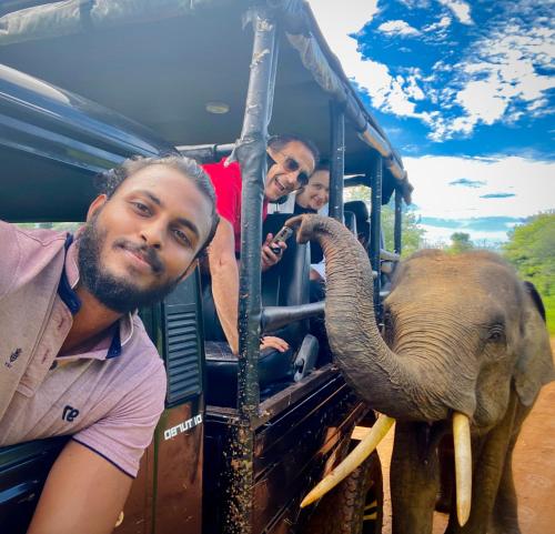two men on a bus looking at an elephant at Pearl White House in Udawalawe