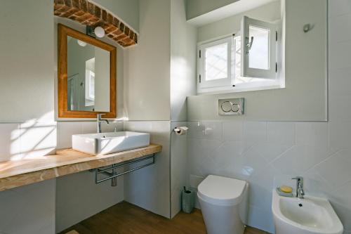 a bathroom with a sink and a toilet and a mirror at Caterina e l'Indaco in Sarzana