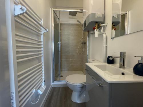 een badkamer met toilet, wastafel en douche bij Le Ruby - centre - wifi 2p - Rêve au Mans in Le Mans