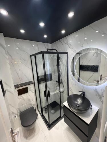 y baño con ducha, lavabo y espejo. en Appartement de luxe avec sauna pour 4 Personnes, en Triel-sur-Seine
