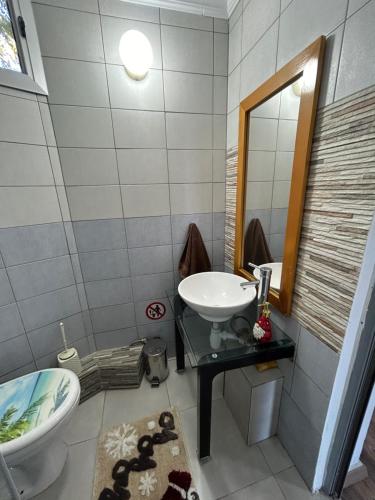 ein Badezimmer mit einem Waschbecken, einem WC und einem Spiegel in der Unterkunft Apartment with garden in Paphos City