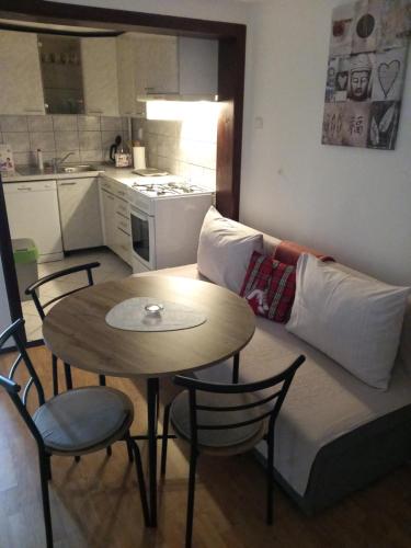 Η κουζίνα ή μικρή κουζίνα στο Apartman Ris Gorski Kotar Crni Lug