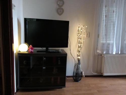 a flat screen tv sitting on a stand in a room at Apartman Ris Gorski Kotar Crni Lug in Delnice