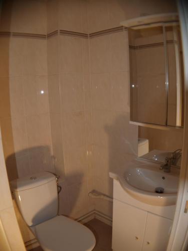 une petite salle de bain avec toilettes et lavabo dans l'établissement Superbe studio dans quartier calme, à Nancy