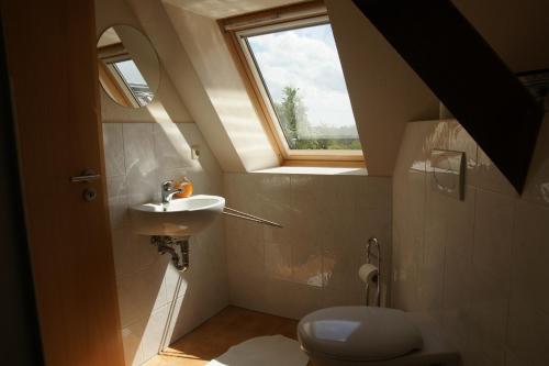 a bathroom with a sink and a toilet with a window at Ferienhof Willi 