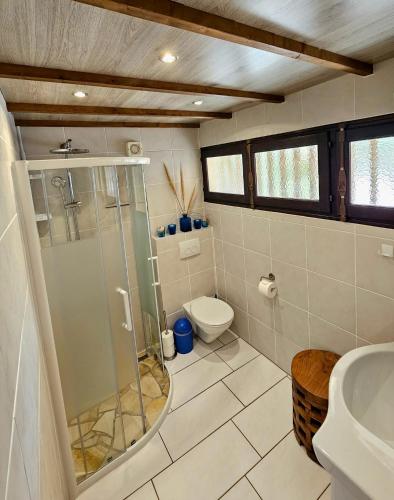 une salle de bain avec douche et toilettes dans l'établissement Maison Le Guetali, à Zonza