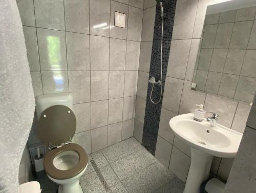 a bathroom with a toilet and a sink at Pensiunea Bavaria Campina in Campina