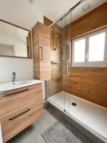 une salle de bain avec une douche, un lavabo et un miroir dans l'établissement Duplex familial proche gare et hyper centre ville, à Villepreux