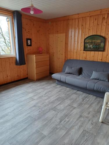 a living room with a couch and a wooden wall at chez Andréa in Le Mont-Dore