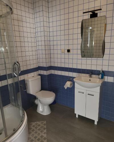 uma casa de banho azul e branca com WC e lavatório em Gościniec Złoty Krąg em Kobylnica