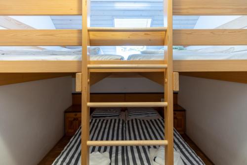 een stapelbed met een ladder in een kamer bij Apartment Alpinea in Bohinj