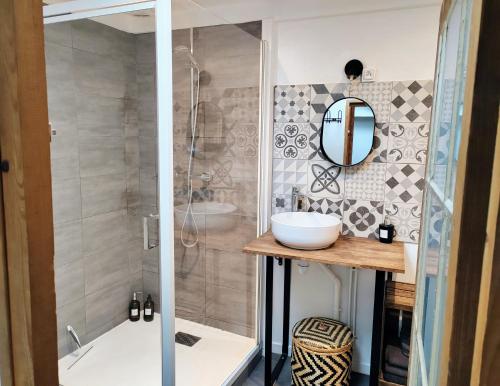 a bathroom with a shower and a sink and a mirror at LA PETITE BEAUVAISIENNE in Beauvais