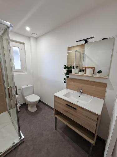 une salle de bain avec un lavabo, des toilettes et un miroir dans l'établissement Le Lotus - Centre - 4pers - Rêve au Mans, au Mans