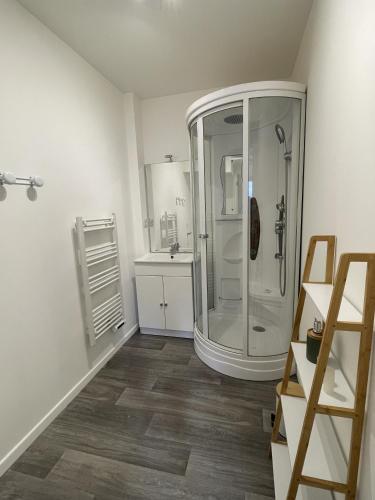 uma casa de banho com um chuveiro e um lavatório. em La Feuillette - Cosy - Wifi - 4 personnes - Rêve au Mans em Pontlieue