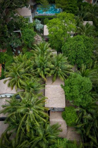 an overhead view of a garden with palm trees and bushes at M Village Phu Quoc in Phu Quoc