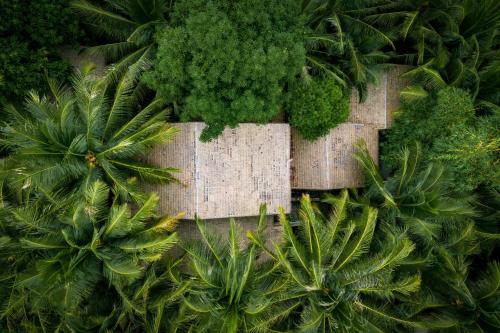 an overhead view of a plantation with palm trees at M Village Phu Quoc in Phu Quoc