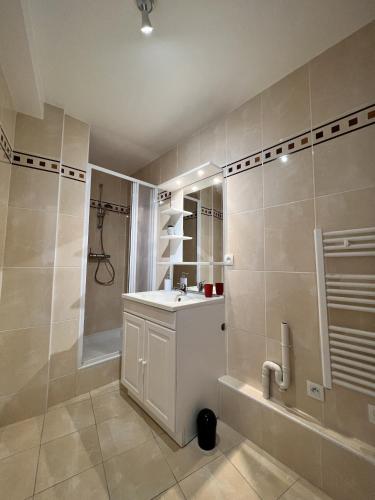 une salle de bain avec un lavabo et une douche dans l'établissement L'alienor - Parking - Hôpital - 2 Pers - Rêve au Mans, au Mans