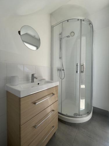 une salle de bain avec une douche avec un lavabo et un miroir dans l'établissement L'incroyable - Centre - 4pers - Rêve au Mans, au Mans