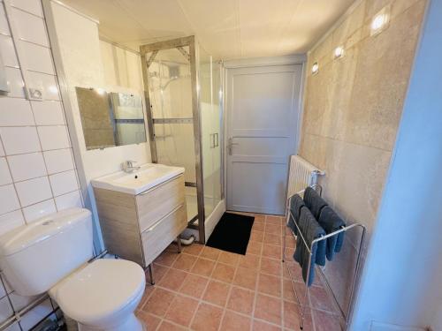 uma casa de banho com um WC, um lavatório e um espelho. em Le Lodge - Cosy - Wifi - 4 personnes - Rêve au Mans em Connerré