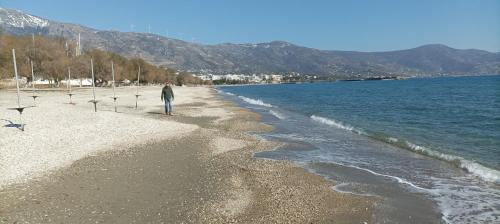 a man standing on a beach next to the water at Camping.Karystos Melodia in Karistos