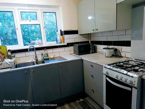 a kitchen with a sink and a stove top oven at London's bed with breakfast in London