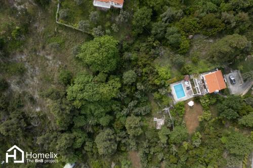 una vista aérea de una casa en el bosque en Villa VERA - private villa for 8 guests with pool, en Kími